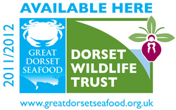 Great Dorset Seafood - shop sticker