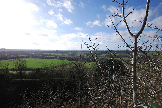 Wiltshire Countryside