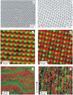 Illustrations of self-assembled colloidal structures. (a) Highly ordered regions with hexagonal symmetry extending over assembled from functionalized (patchy) colloidal silica particles. The colloidal structure exhibits a photonic band gap in the visible light range. (b) Regions showing co-existing hexagonal and square symmetry, from [13]. (c, d) Confocal microscope images illustrating highly-ordered self-assembled structures in 'ionic' colloidal crystals of oppositely charged particles assembled from positive (red, ) and negative (green, ) polymethylmethacrylate spheres. (e, f) Electric field induced structures in the same system: stationary bands perpendicular to the field directions (e) and lanes of oppositely moving particles parallel to the field direction, emerging for larger amplitudes of the applied electric field (f). 