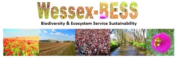 Wessex BESS