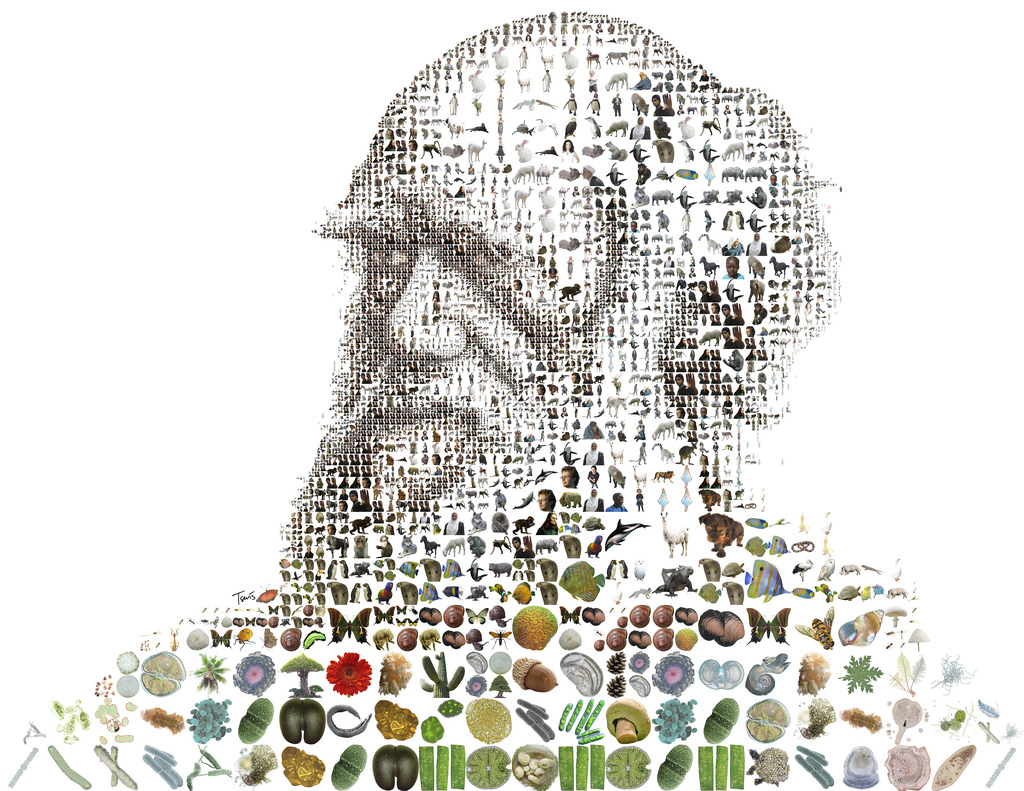 'Charles Darwin for Time Magazine' by Charis Tsevis