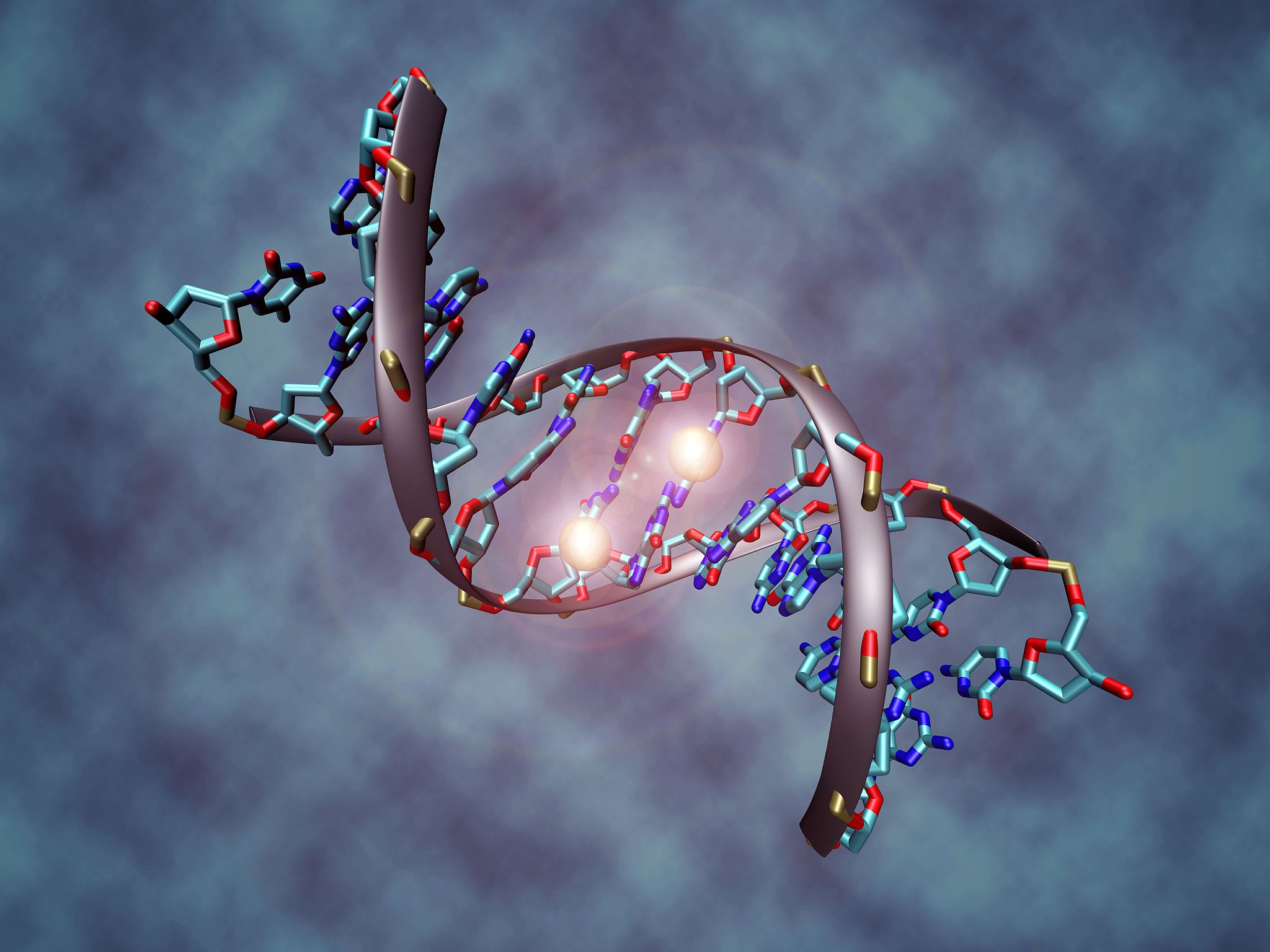 DNA Methylation by Christoph Bock, Max Planck Institute for Informatics