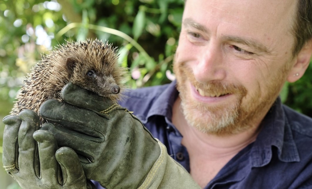 Why did the hedgehog cross the road?