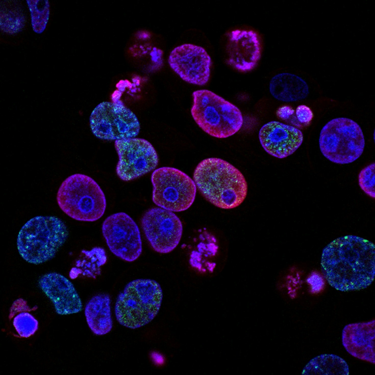 Top Five Scientific Breakthroughs This Month